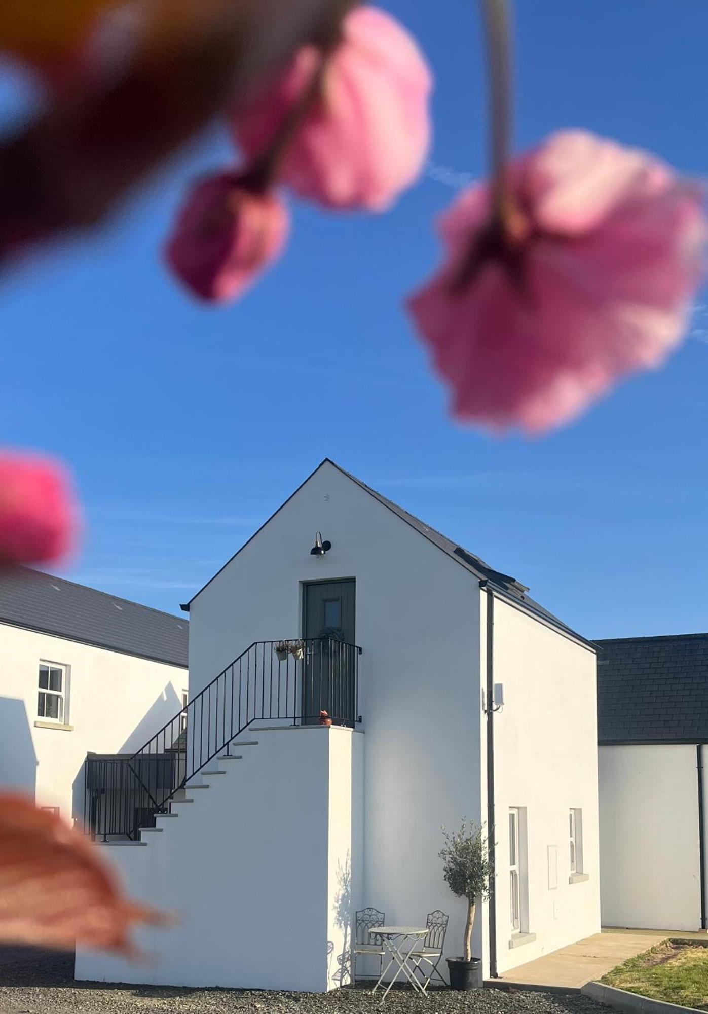 The Loft Curracloe, On Wexfords Coastal Scenic Route Apartment Bagian luar foto